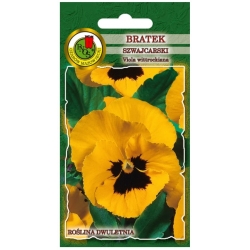 Nasiona Bratek szwajcarski Firnengold pnos671