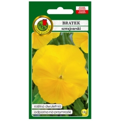 Nasiona Bratek szwajcarski Goldgelb pnos673