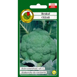 nasiona Brokuł Cezar pnos9
