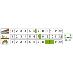 nasiona Brokuł Cezar pnos9