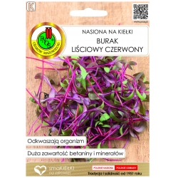 Nasiona Na kiełki Burak czer 10g pnos459