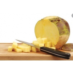 nasiona Brukiew nadmorska karpiel pnos12