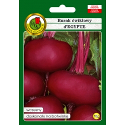 nasiona Burak ćwikłowy dEgypte2 pnos17