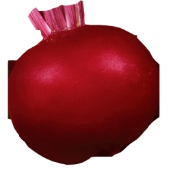 nasiona Burak ćwikłowy Napoleon pnos18