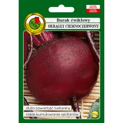 nasiona Burak ćwikłowy Okrągły pnos20
