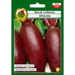 nasiona Burak ćwikłowy Opolski pnos22