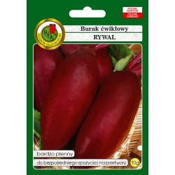 nasiona Burak ćwikłowy Rywal pnos27