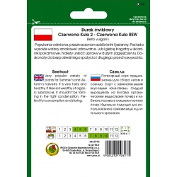 nasiona Burak ćwikł Czerwona Kula pnos13