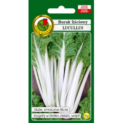 nasiona Burak liściowy Lucullus pnos28