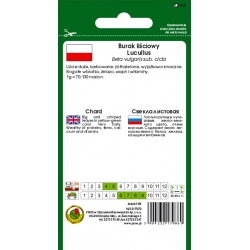 nasiona Burak liściowy Lucullus pnos28