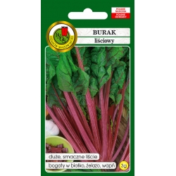 nasiona Burak liściowy Rhubarb Chard pnos29