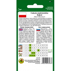 nasiona Cebula siedmiolatka Bajkal pnos39