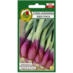 nasiona Cebula siedmiolatka Red Toga pnos40