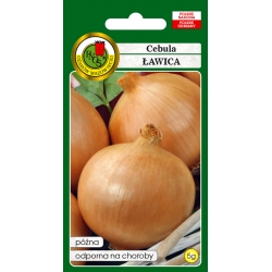 nasiona Cebula Ławica pnos36