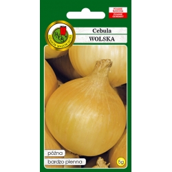 nasiona Cebula Wolska pnos47