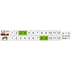 nasiona Cebula Wolska pnos47