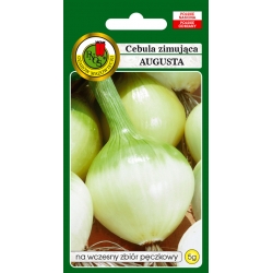 nasiona Cebula zimująca Augusta pnos48