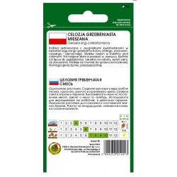 Nasiona Celozja grzebieniasta niska pnos677