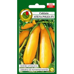 nasiona Cukinia Atena Polka pnos50