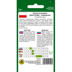 nasiona Cukinia Atena Polka pnos50