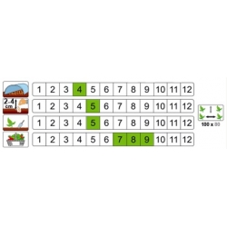 nasiona Cukinia Atena Polka pnos50