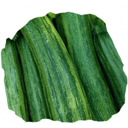 nasiona Cukinia Nimba pnos52