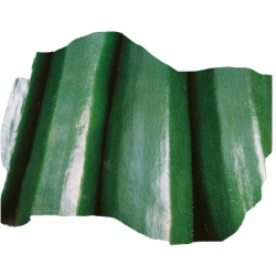 nasiona Cukinia Soraya pnos53