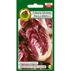 nasiona Cykoria liściowa Palla Rossa pnos55