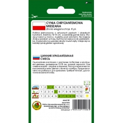 Nasiona Cynia chryzantem Glamour pnos682