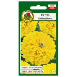 Nasiona Cynia daliowa Golden Dawn pnos685