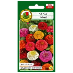 Nasiona Cynia Kobold mieszana pnos691