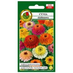 Nasiona Cynia Skabiozowa mix pnos692