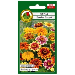 Nasiona Cynia wąskolistna Persian pnos693