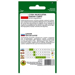 Nasiona Cynia wąskolistna Persian pnos693