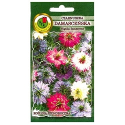 Nasiona Czarnuszka damasceńska pnos694