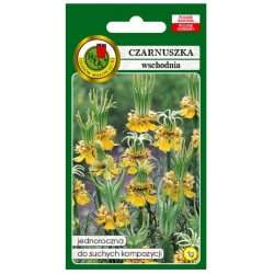 Nasiona Czarnuszka wschodnia pnos695