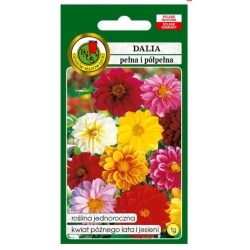Nasiona Dalia pełna i półpełna pnos696