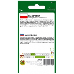 Nasiona Dimorfoteka Tetra Goliath pnos699