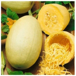 nasiona Dynia makaronowa Pyza pnos56