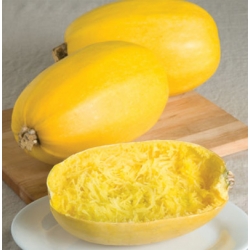 nasiona Dynia makaronowa Pyza pnos56