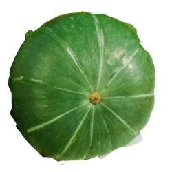 nasiona Dynia olbrzymia Ambar pnos57