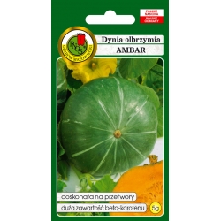 nasiona Dynia olbrzymia Ambar pnos57