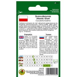 nasiona Dynia olbrzymia Atlantic Giant pnos58