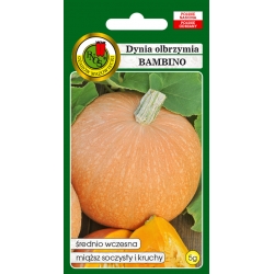 nasiona Dynia olbrzymia Bambino pnos59