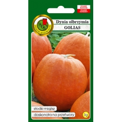 nasiona Dynia olbrzymia Golias pnos60