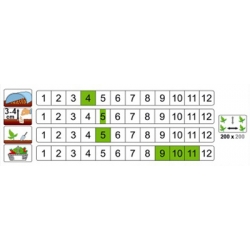 nasiona Dynia olbrzymia Golias pnos60