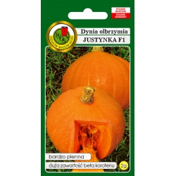 nasiona Dynia olbrzymia Justynka pnos61