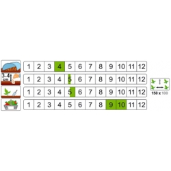 nasiona Dynia olbrzymia Justynka pnos61