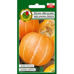 nasiona Dynia olbrzymia Melonowa Żółta pnos62