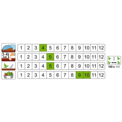 nasiona Dynia olbrzymia Melonowa Żółta pnos62